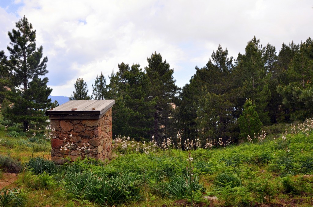 Toilettes du refuge I'Paliri