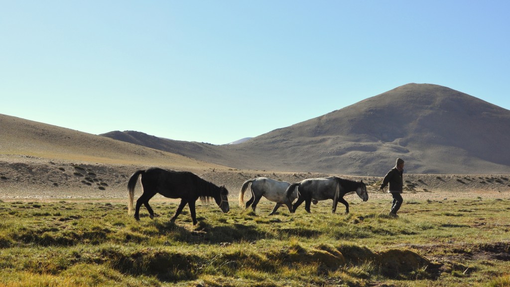 Changtang, Camp de Nuruchan (4570m)