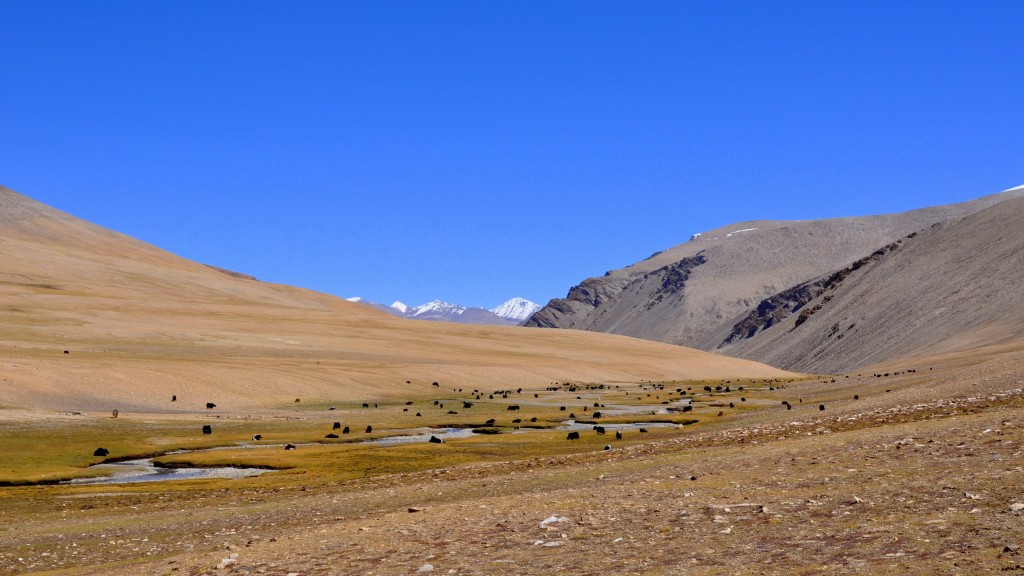 Vallée perdue, entre les cols de Kyamaru La et Gyama La (5200m)
