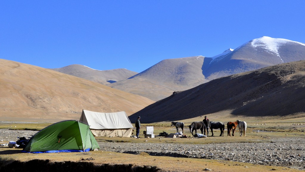 Changtang, Camp de Gyama Gompa (5150m)