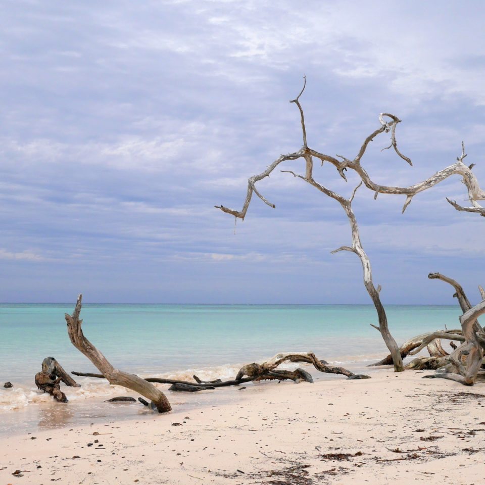 Cuba, Cayo Jutias