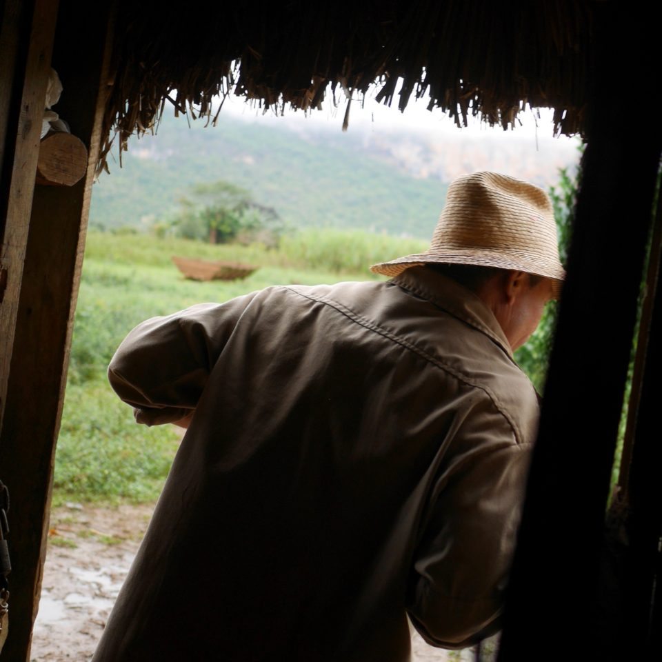 Cuba, Planteur de Tabac, Vinales