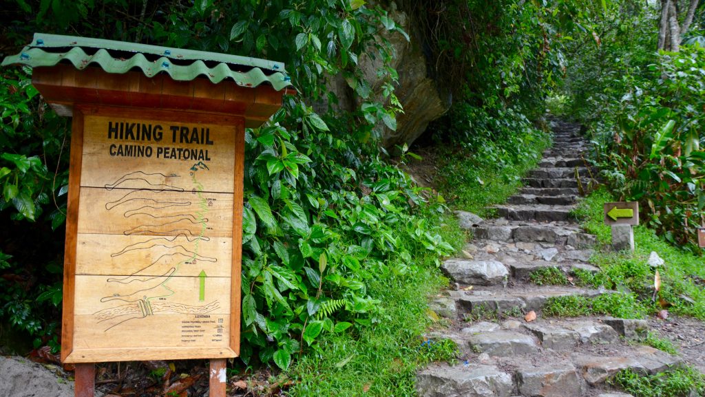 hiking trail, macchu pichu