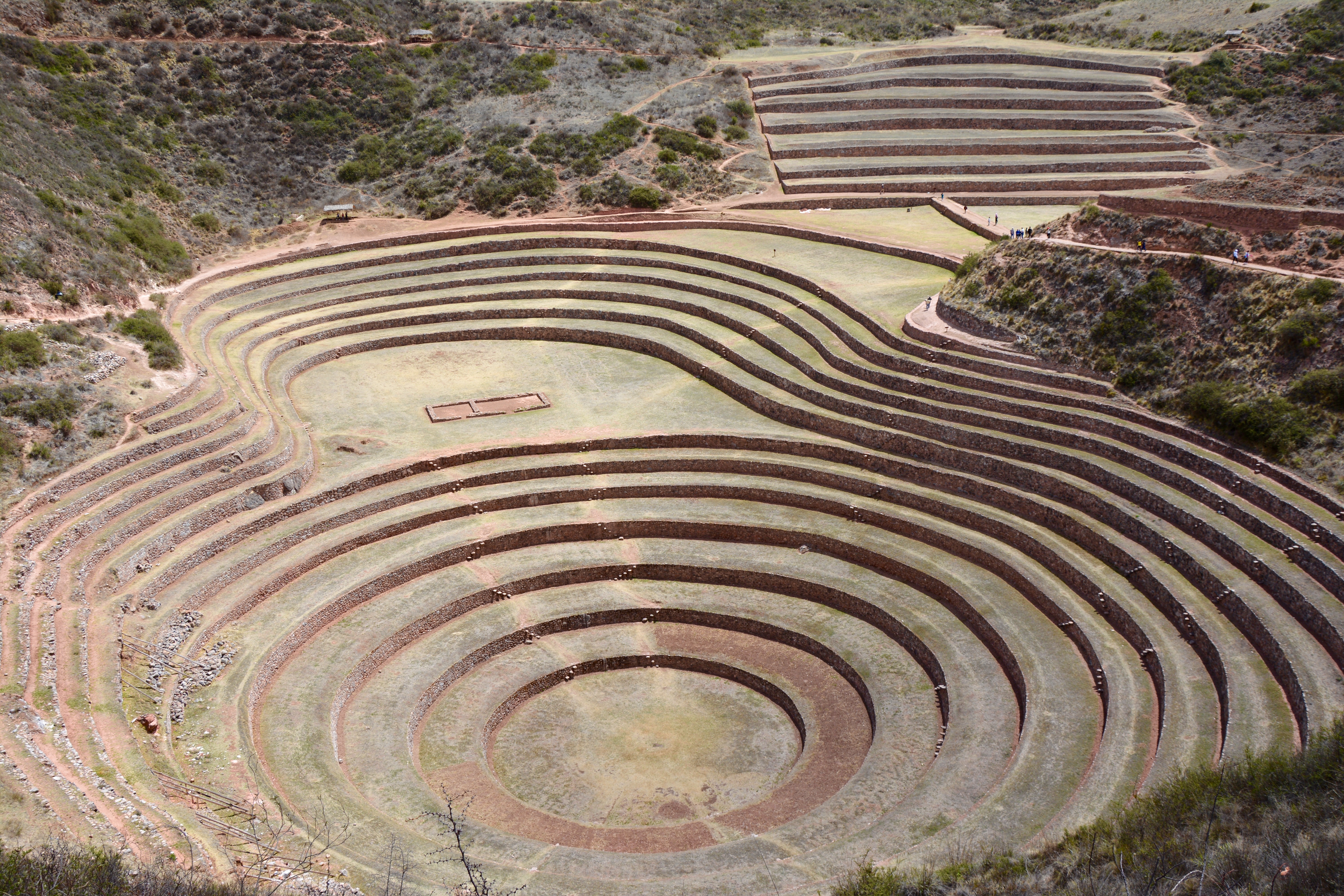 Moray