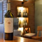 Lire la suite à propos de l’article Les Vins de Mendoza