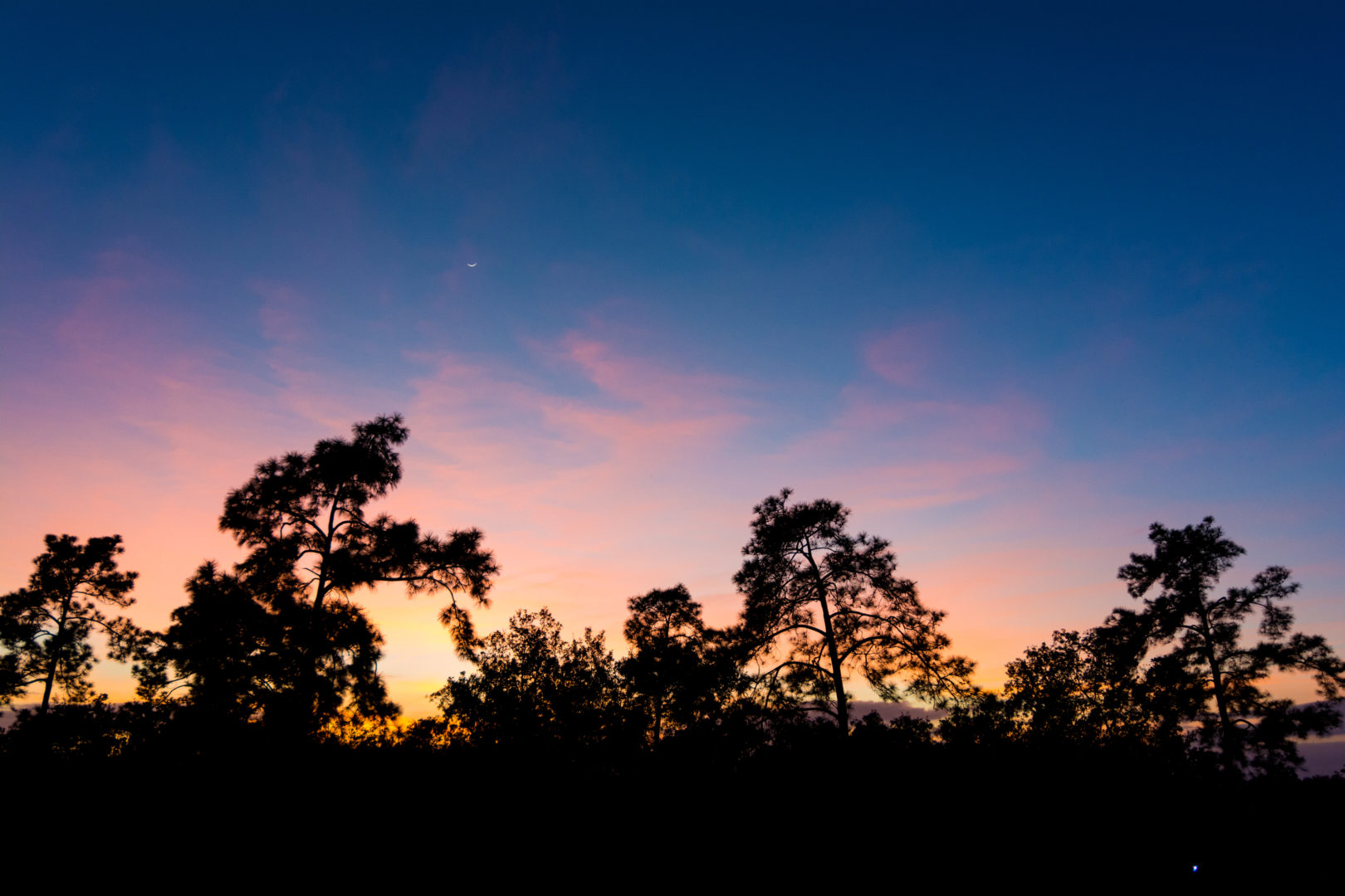 Cooked Tree, Belize. Coucher de soleil