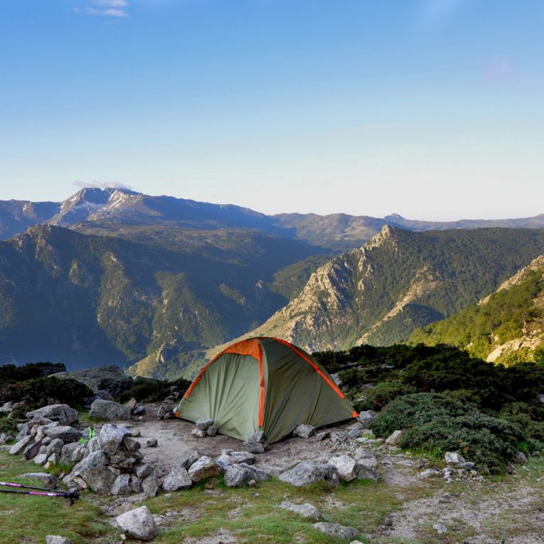 Trek GR20