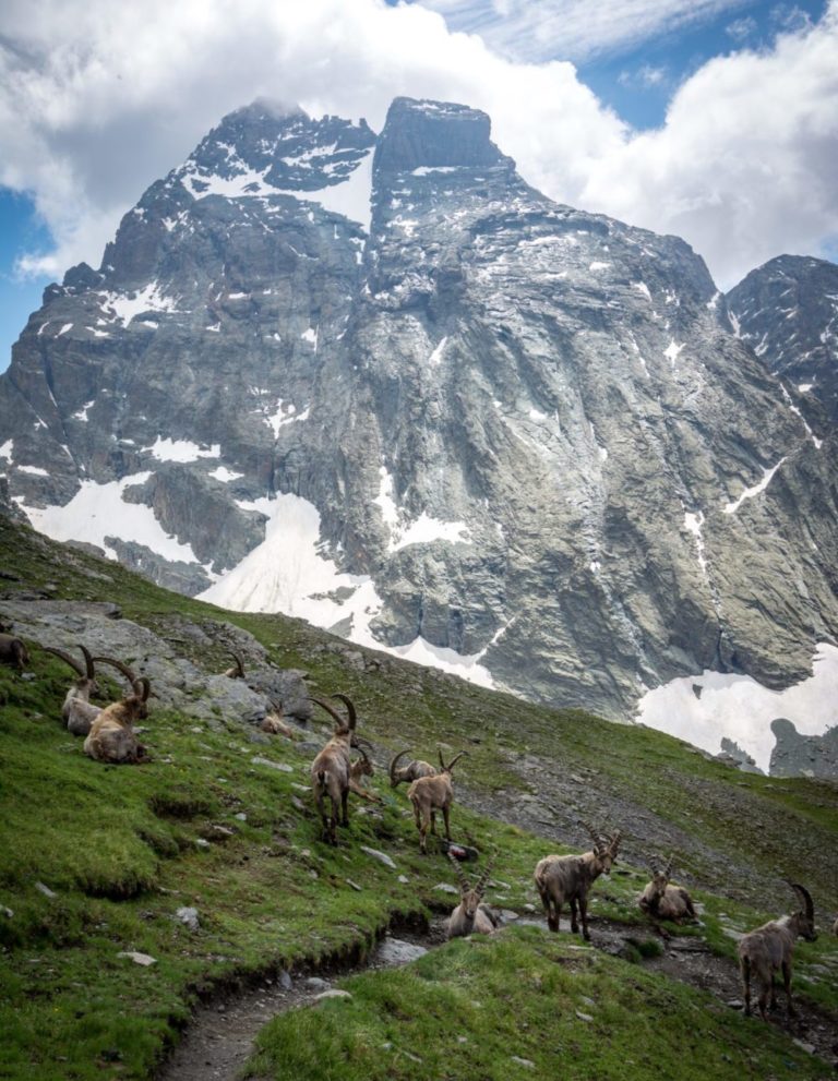 trek Mont Viso