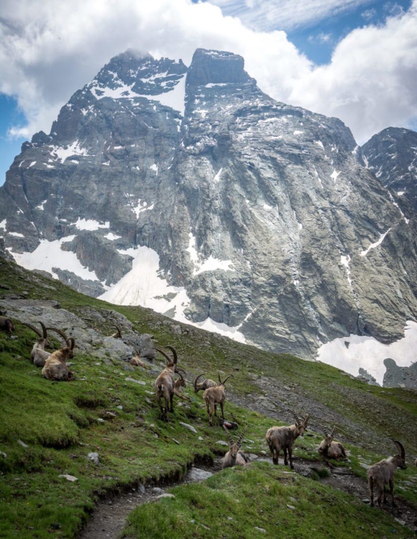 trek Mont Viso